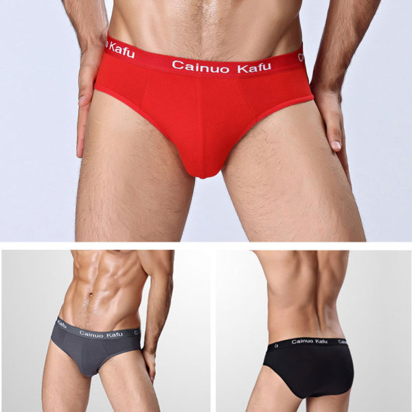 4 Pcs Lot Men s Panties Man Undrewear Men Underpants Briefs Sexy Underwear For Fat Ultra 1