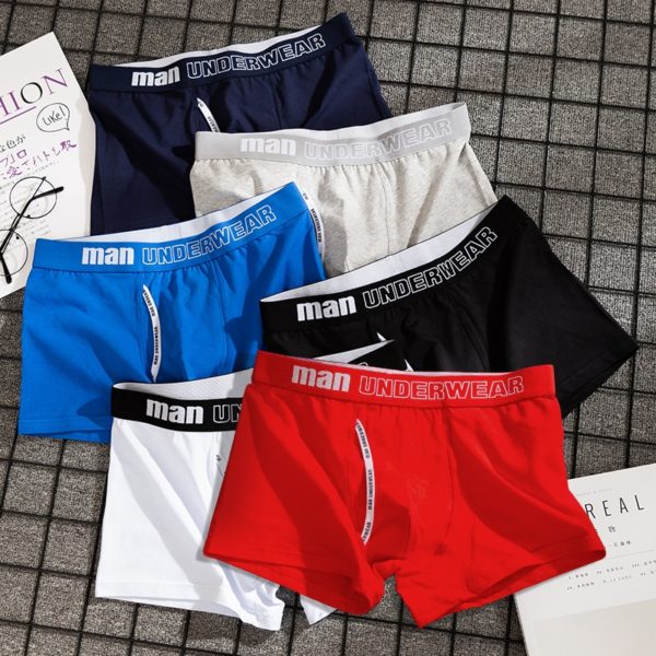 4pcs boxer mens underwear men cotton underpants male pure men panties shorts underwear boxer shorts cotton 1