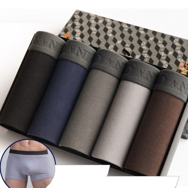 5Pcs lot Men Underwear Cotton Boxer Men Underpants Comfortable Breathable Men s Panties Underwear Trunk