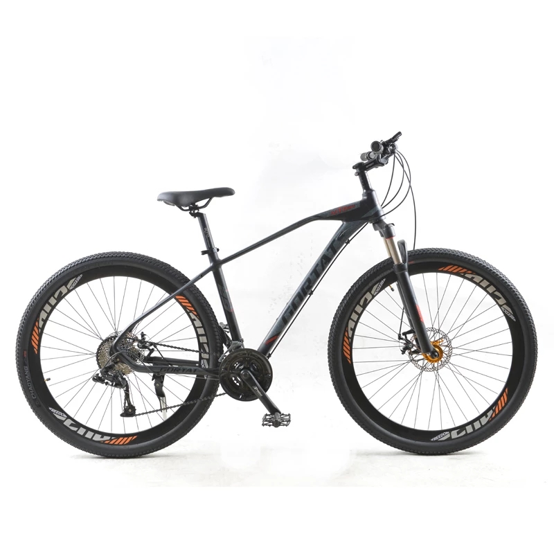 electric mountain bike